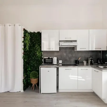 Charmant Studio Arbore Et Climatise Carcassonne Exterior photo