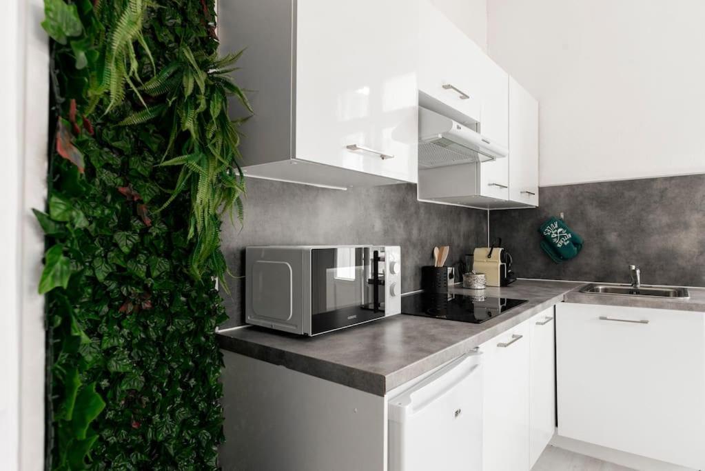 Arbore Et Climatise Apartment Carcassonne